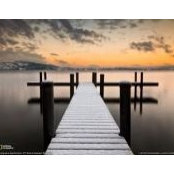 Jenn Porter's photo