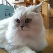 Hiroko Maeda's photo