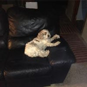 Josh Barnick's photo