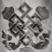 Cin Onixs foto