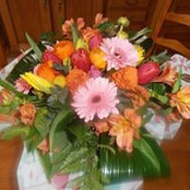 Colette Petitjean's photo