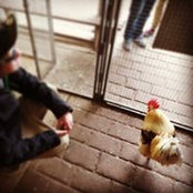 Andrew Gleysteen's photo