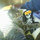 julie_pelletier49