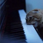 Olga Kmet's photo