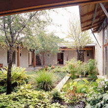 Landscape Ideas