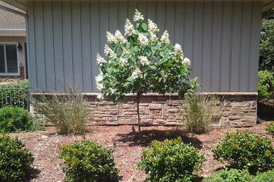 Inspiration for a mid-sized traditional front yard formal garden in Raleigh with mulch.