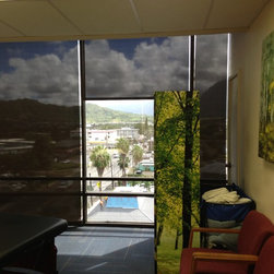 Screen Roller Shades - Products