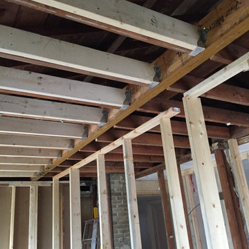 Complete gut kitchen renovation