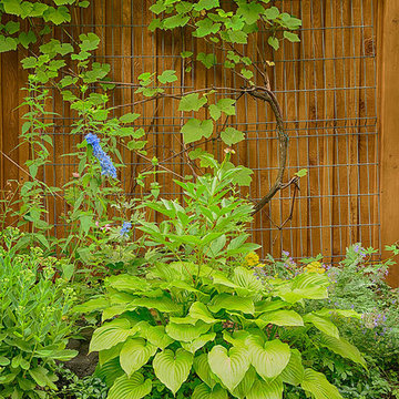 Natural urban garden