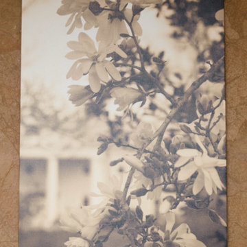 Photos From Clients