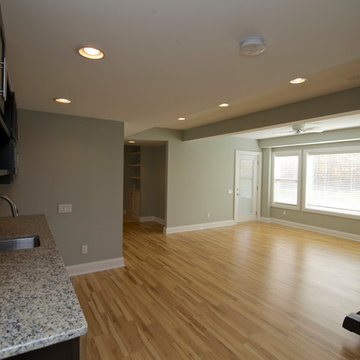 Basement Remodeling & Wet Bar