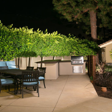 Tropical Artistry Oasis