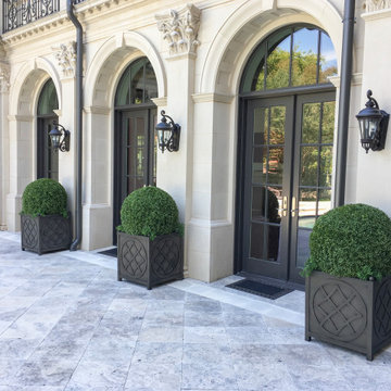 Boxwood ball shrubs in outdoor space