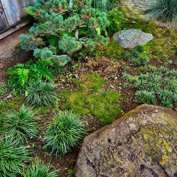 Saratoga Modern Zen Koi Pond
