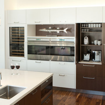 White and Wenge Kitchen