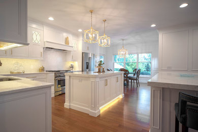 Transitional kitchen photo in Chicago
