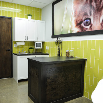 Guildford Animal Hospital