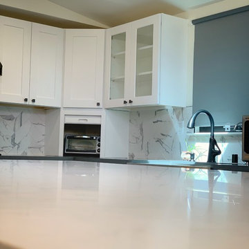 Kitchen Remodel/Renovation