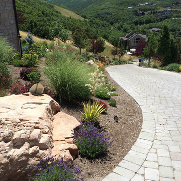 Our Work