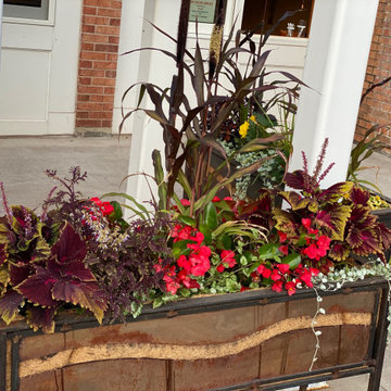 Custom Container Planters