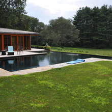 pool/backyard