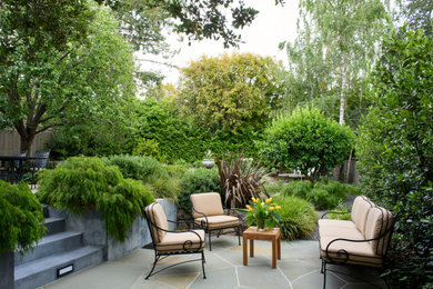 Photo of a classic back patio in San Francisco with natural stone paving and no cover.