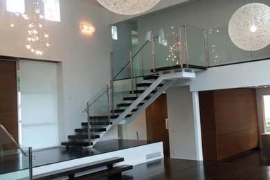 Entryway - large modern dark wood floor and brown floor entryway idea in San Francisco with white walls and a dark wood front door