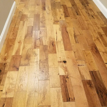 Sugarcane Hickory