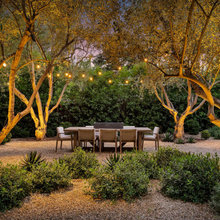 Garden Ideas