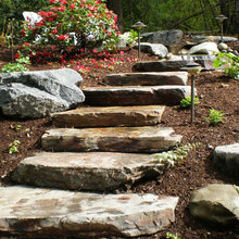 Landscape Ideas