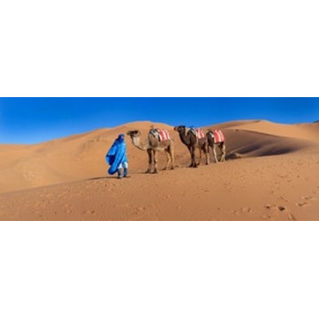Tuareg Man Leading Camel Train In Desert Erg Chebbi Dunes Sahara Desert Print