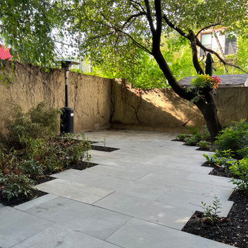 Modern Urban Shade Garden