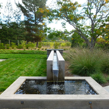 sonoma modern