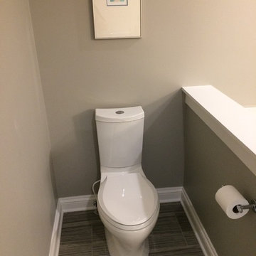 Brookfield master bath