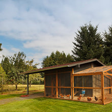 Dyer Rd chicken coop