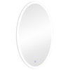 Oval LED Lighted Wall Mount Bathroom Mirror, Fog Free and Dimmable, 24"x44"