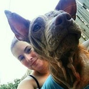 Joy Rohrs's photo