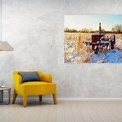Tom Jelen's photo