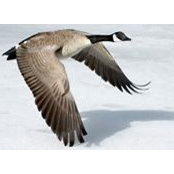 Philip Kadege's photo