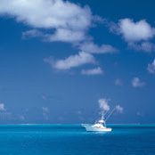 Ian Chambers's photo