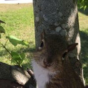 Leslie Wideman's photo