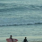 Murray Reid's photo