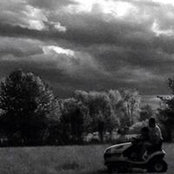 Rudy Hassall's photo