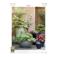 garden inspired