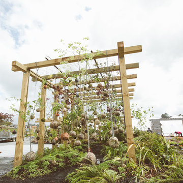Suspended Forest