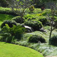 hawaii landscape