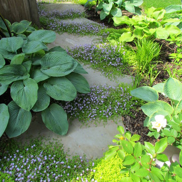 Broken Blue Stone Path