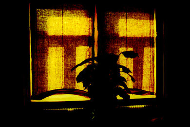 Muslin curtains/blinds