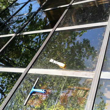 Window Washing