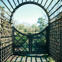 Entrances to Forest